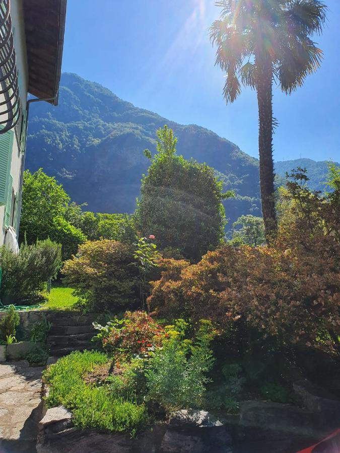La Pergola Apartment Avegno ภายนอก รูปภาพ
